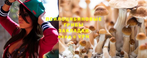 крисы Армянск