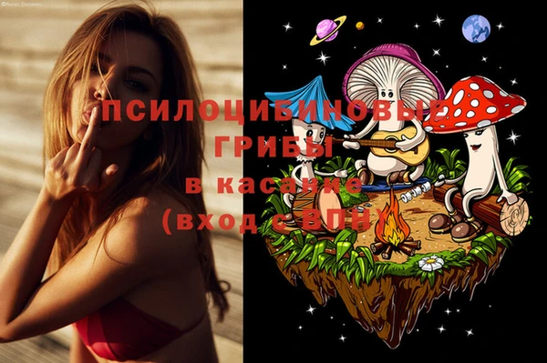 ALPHA PVP Аркадак